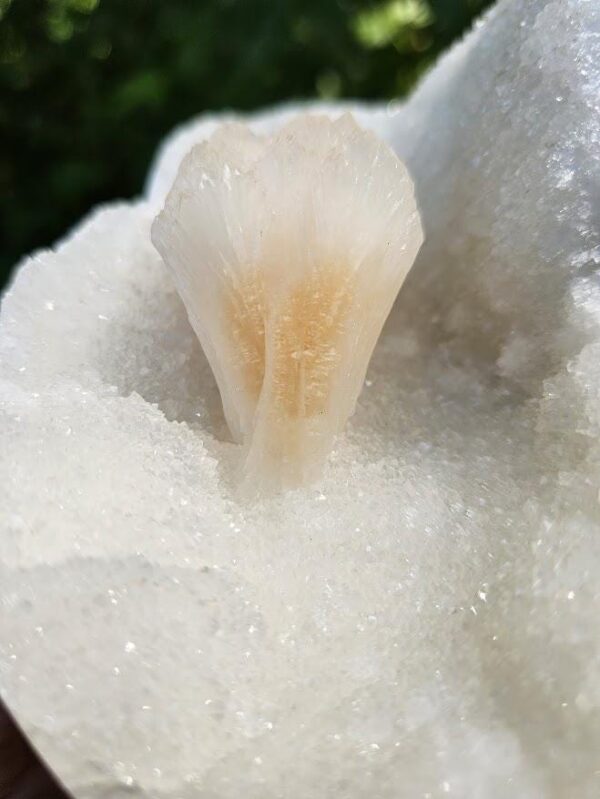 Quality White Chalcedony & Peach Stilbite Specimen: Collector's Crystal - Image 2