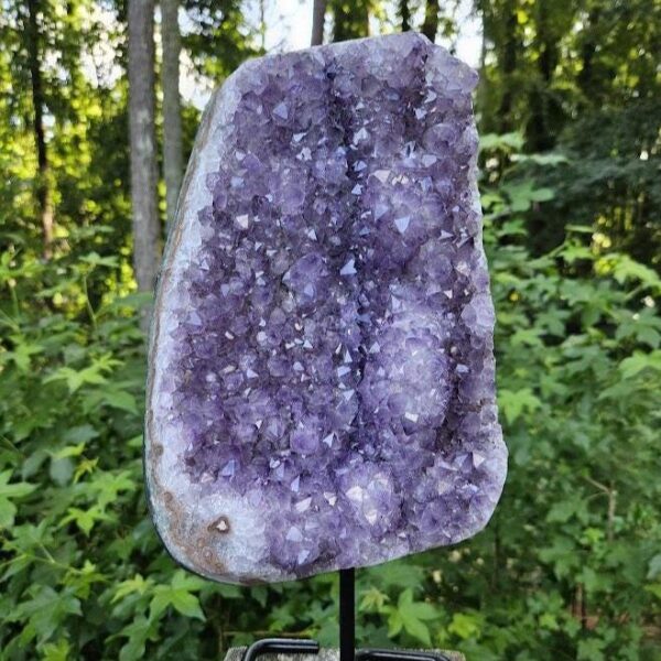 XL Amethyst Cluster on Iron Base: Brazilian Crystal, 10.5 LB, Quality Crystal Home Decor