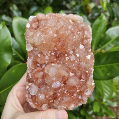Wow! Quality Peach Stilbite Apophyllite Crystal