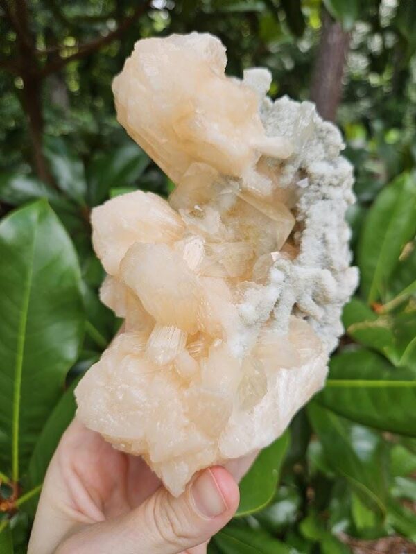Quality Peach Stilbite & Apophyllite Cluster: Natural Zeolite Crystal, India - Image 6