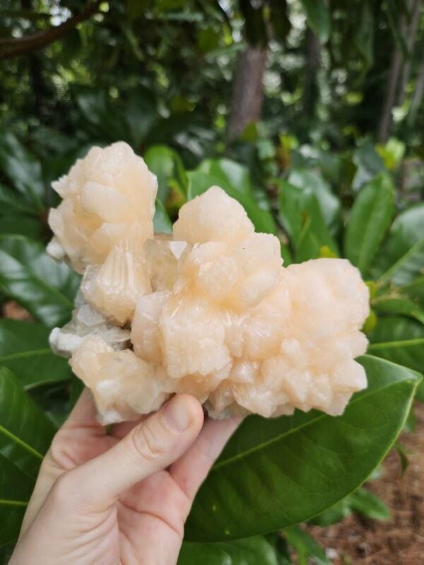 Quality Peach Stilbite & Apophyllite Cluster: Natural Zeolite Crystal, India - Image 9