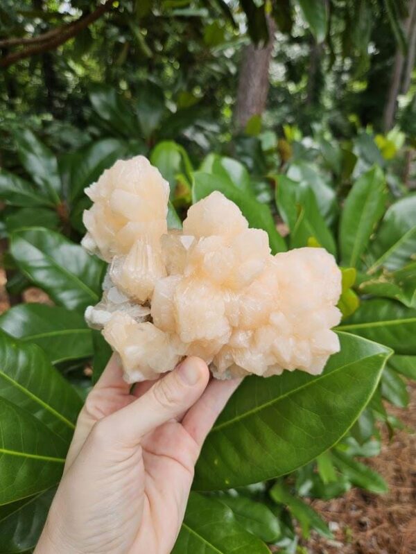 Quality Peach Stilbite & Apophyllite Cluster: Natural Zeolite Crystal, India - Image 10