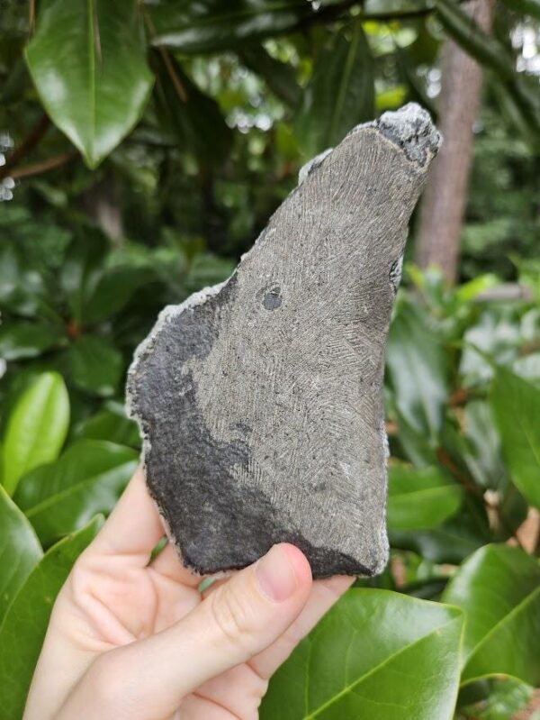 Quality Chalcedony Cluster - Image 4