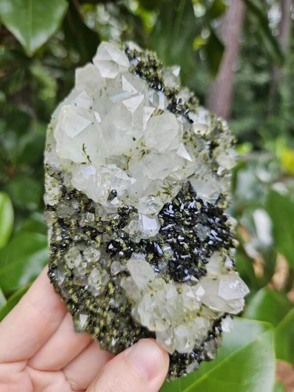 Quality Forest Quartz Crystal - Image 2