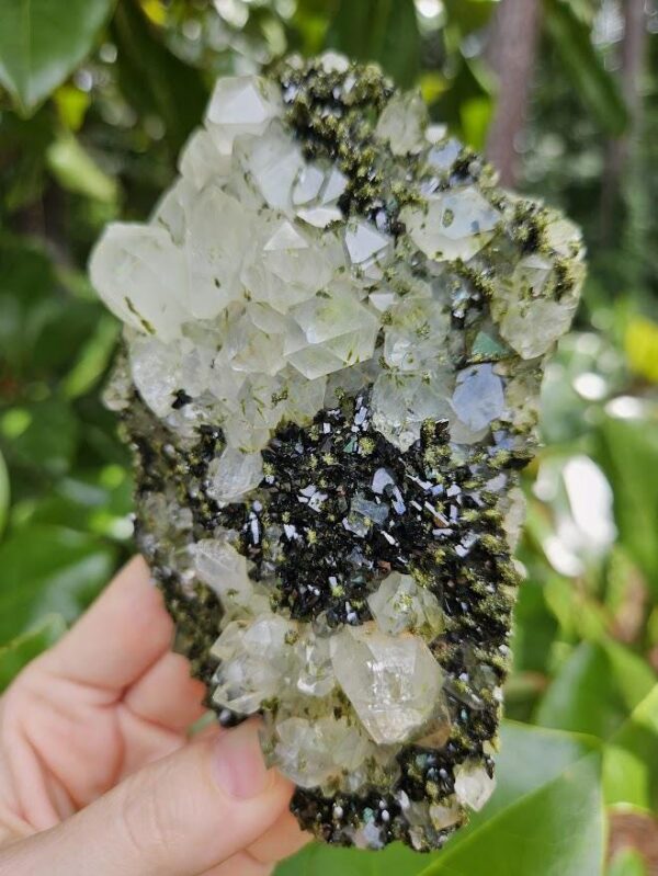 Quality Forest Quartz Crystal - Image 4