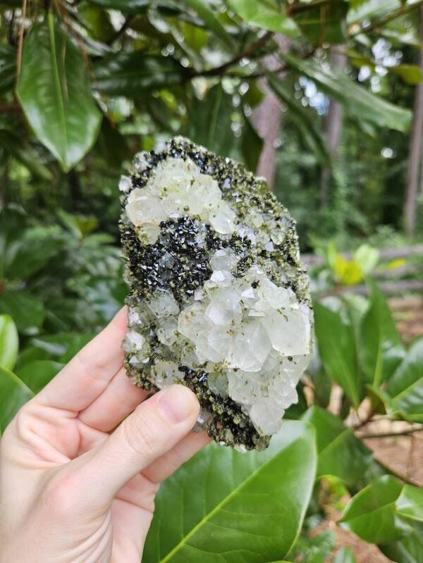 Quality Forest Quartz Crystal - Image 8