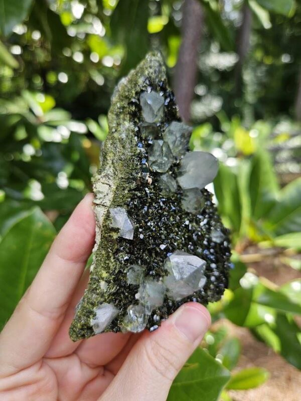 Quality Forest Quartz Crystal - Image 7