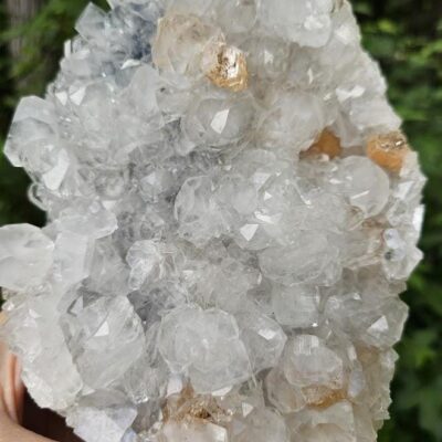 Wow! Quality Apophyllite Cluster