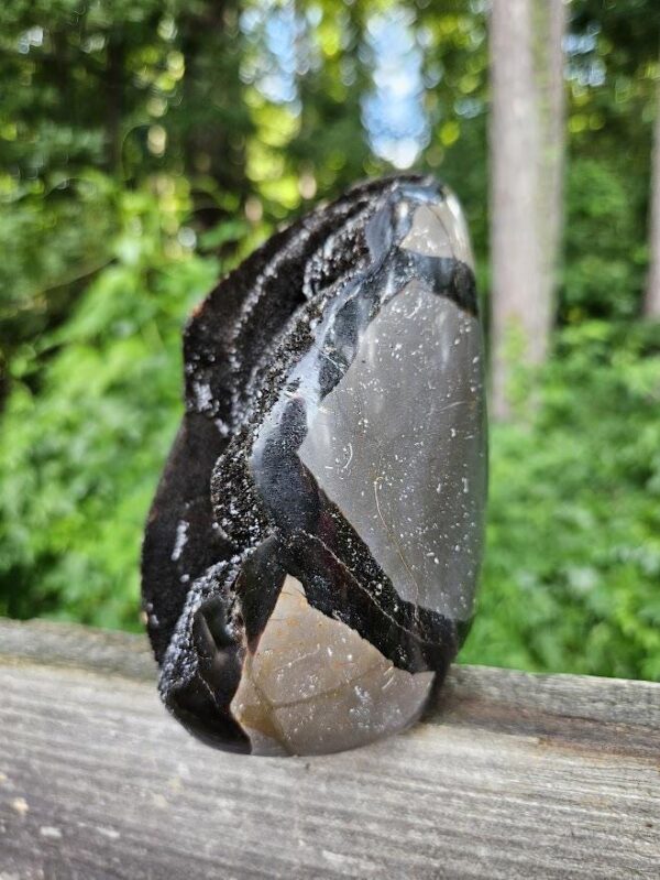 Druzy Septarian Crystal Egg: Raw & Polished Dragon Stone - Image 8