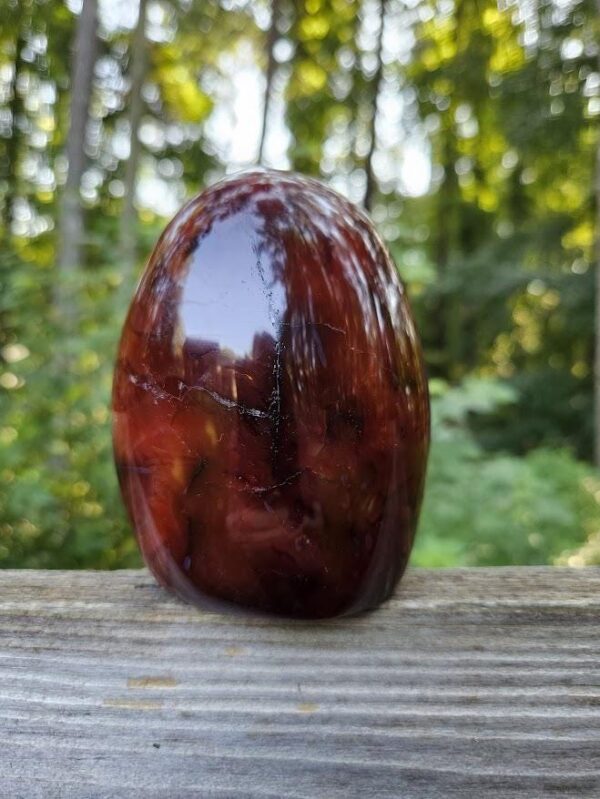 Polished Carnelian Freeform: Sacral Chakra Crystal, Cut Base - Image 5