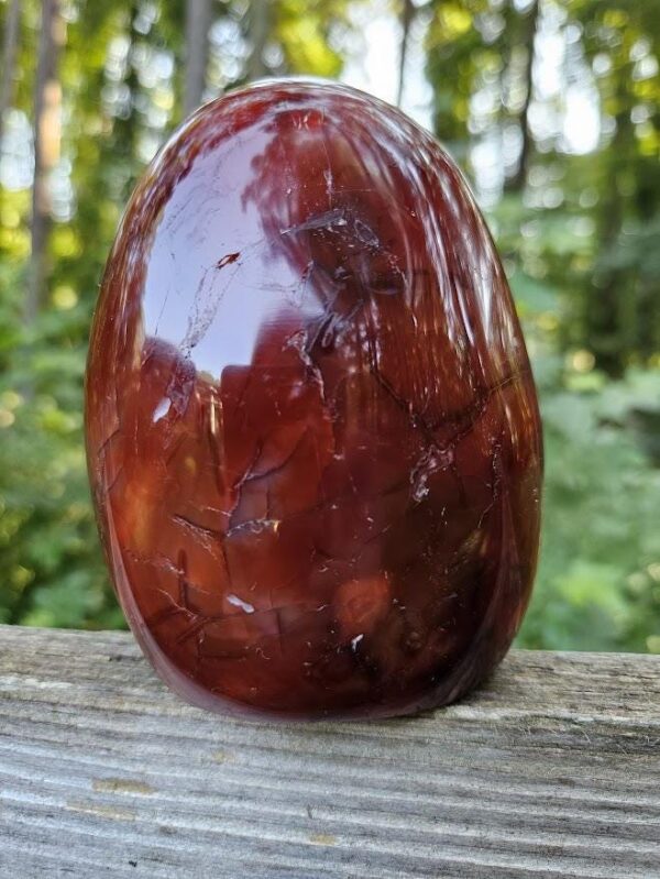 Polished Carnelian Freeform: Sacral Chakra Crystal, Cut Base - Image 8