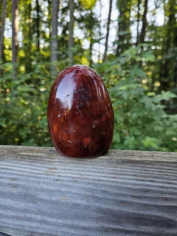 Polished Carnelian Freeform: Sacral Chakra Crystal, Cut Base - Image 10