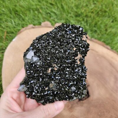Forest Quartz Crystal: Raw Epidote & Clear Quartz Cluster