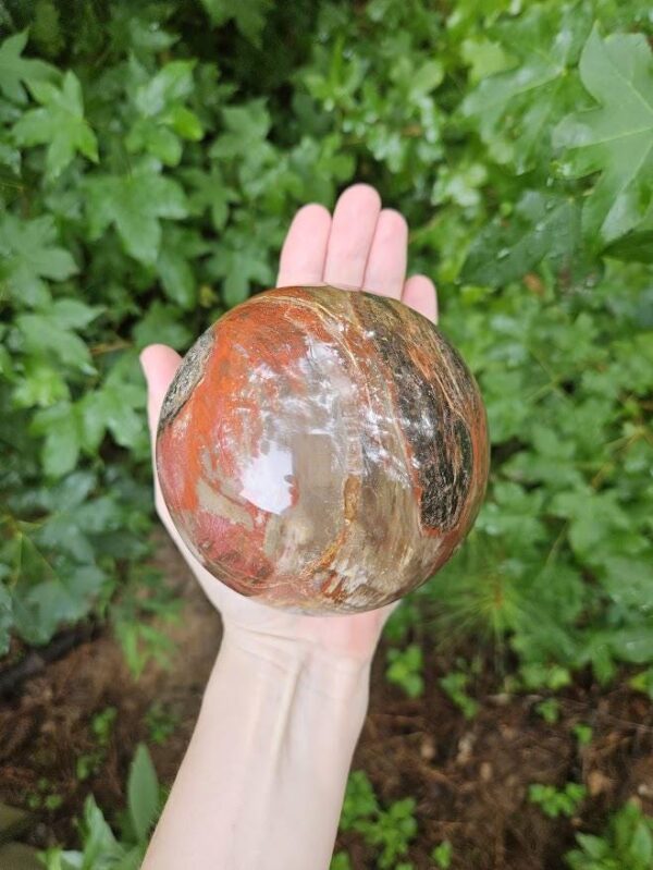 Polished Petrified Wood Sphere: Large Fossil Crystal Decor - Image 10