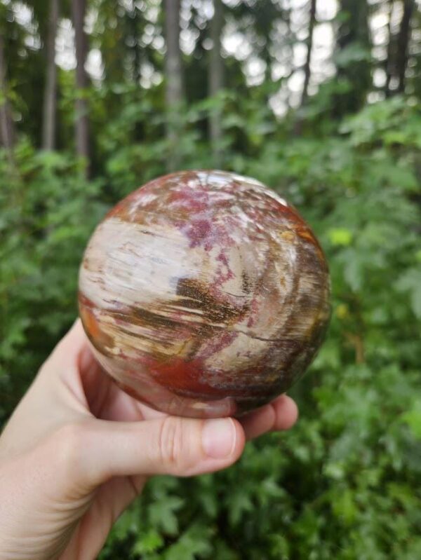 Polished Petrified Wood Sphere: Large Fossil Crystal Decor - Image 3