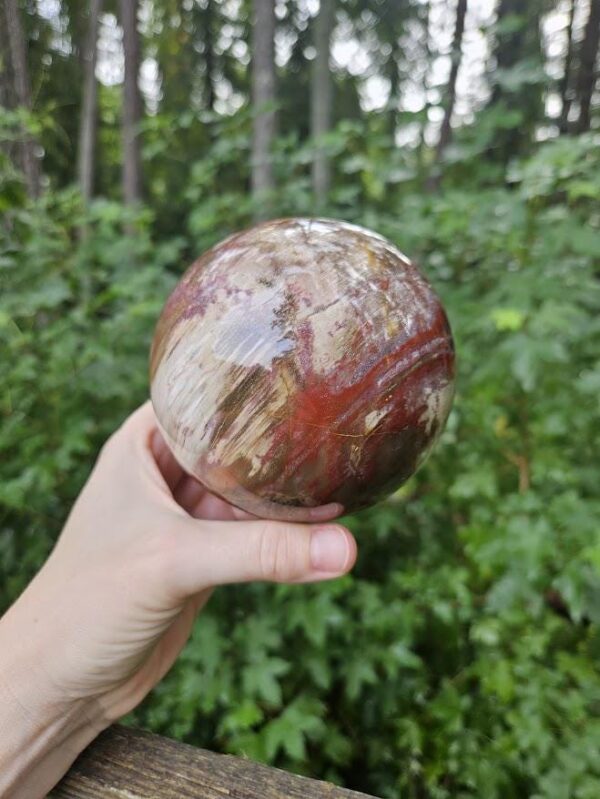 Polished Petrified Wood Sphere: Large Fossil Crystal Decor - Image 5