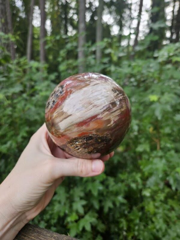 Polished Petrified Wood Sphere: Large Fossil Crystal Decor - Image 6