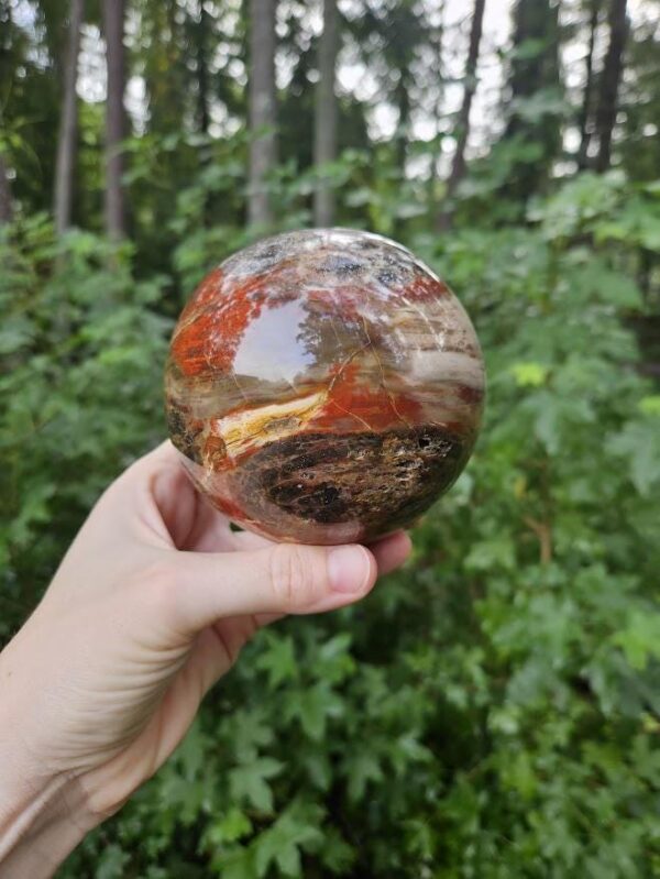 Polished Petrified Wood Sphere: Large Fossil Crystal Decor - Image 7