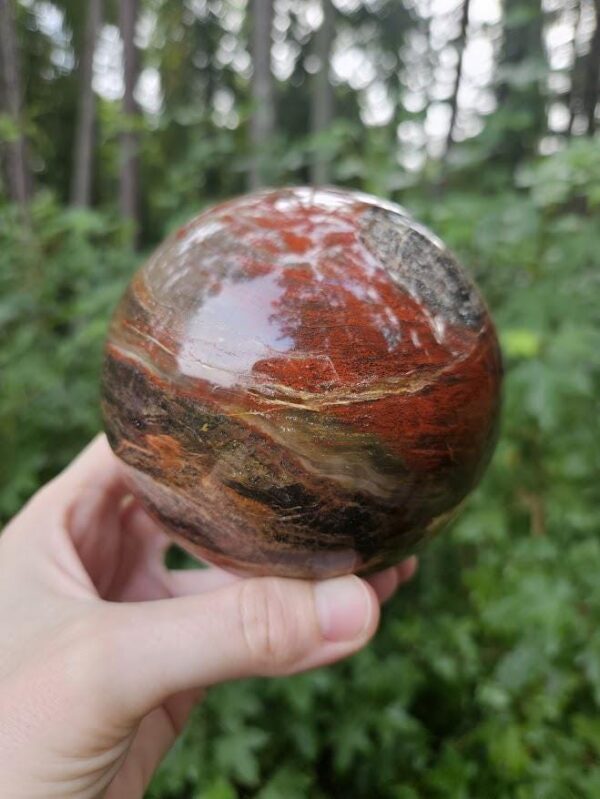 Polished Petrified Wood Sphere: Large Fossil Crystal Decor - Image 9