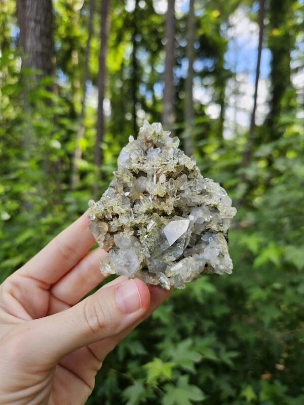 Quality Forest Quartz Crystal Cluster: Raw Epidote & Clear Quartz - Hakkari, Turkey - Image 10