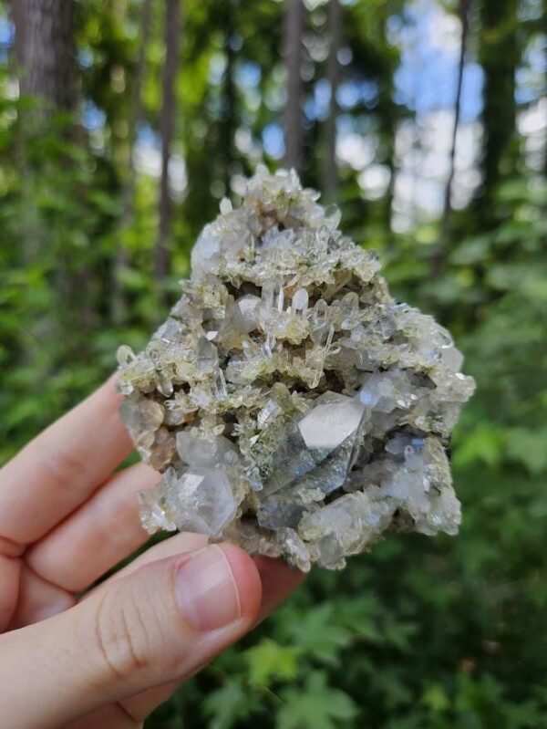 Quality Forest Quartz Crystal Cluster: Raw Epidote & Clear Quartz - Hakkari, Turkey - Image 2