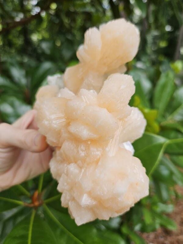 Quality Peach Stilbite & Apophyllite Cluster: Natural Zeolite Crystal, India - Image 3