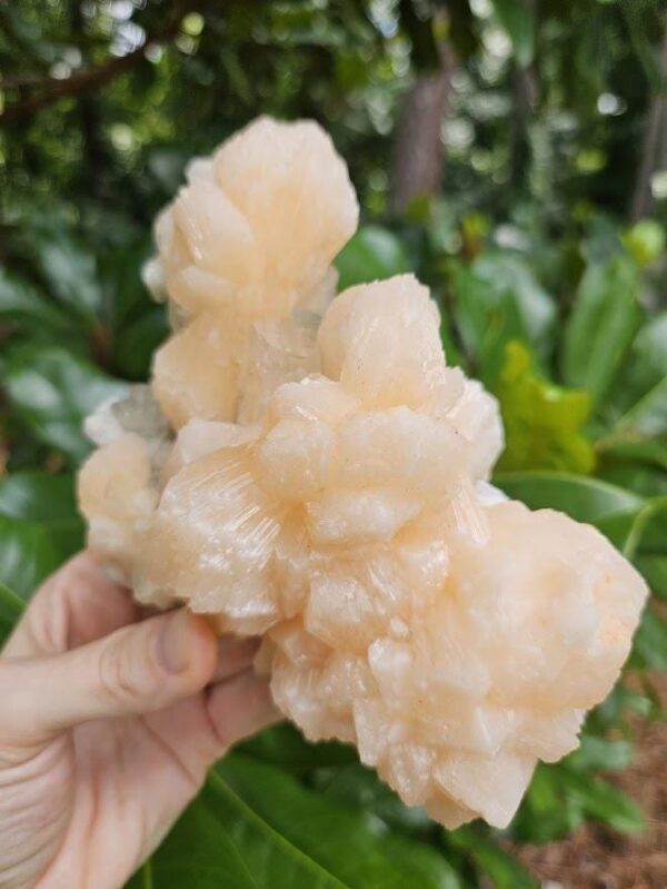 Quality Peach Stilbite & Apophyllite Cluster: Natural Zeolite Crystal, India