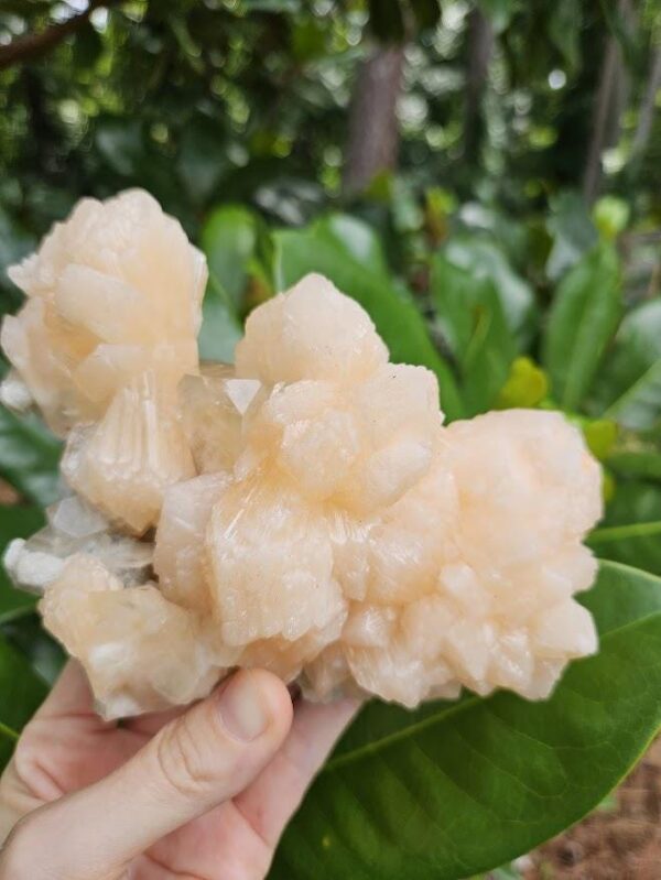 Quality Peach Stilbite & Apophyllite Cluster: Natural Zeolite Crystal, India - Image 8