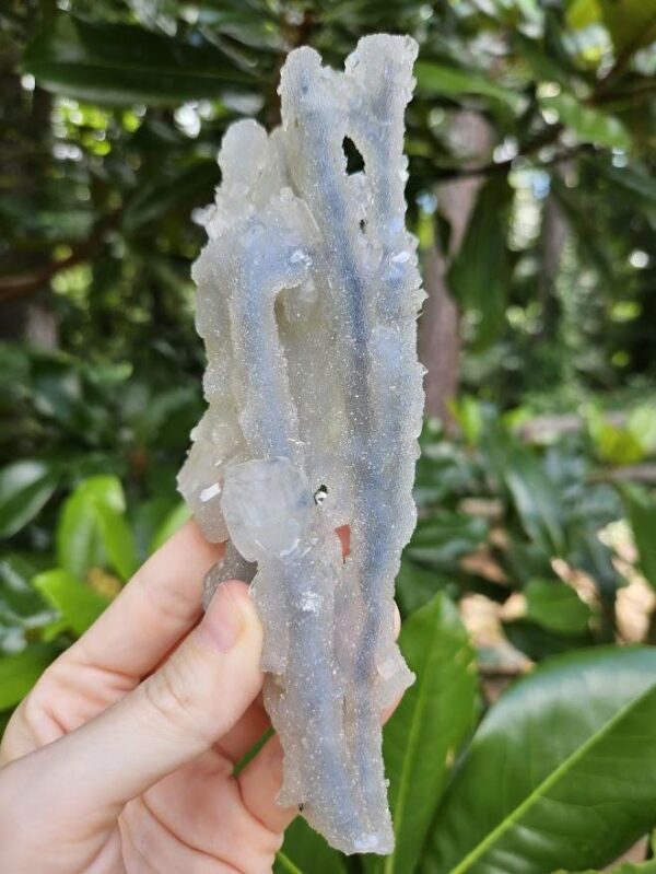 Rare! Quality Blue Chalcedony Apophyllite Specimen: Druzy Crystal from Nashik, India