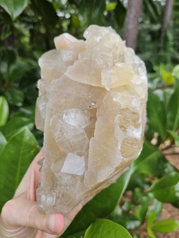 Wow! Unique! Quality Apophyllite Crystal - Image 5