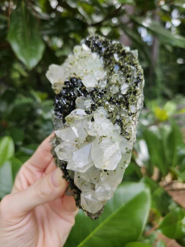 Quality Forest Quartz Crystal - Image 6