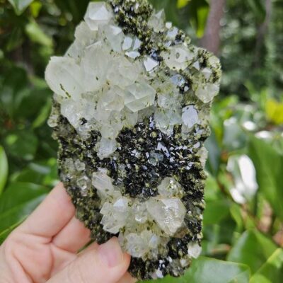 Quality Forest Quartz Crystal