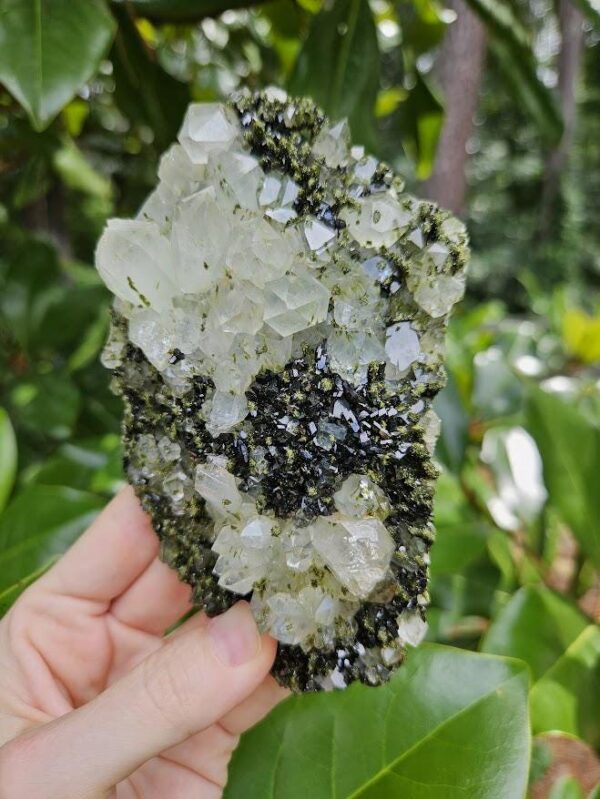 Quality Forest Quartz Crystal