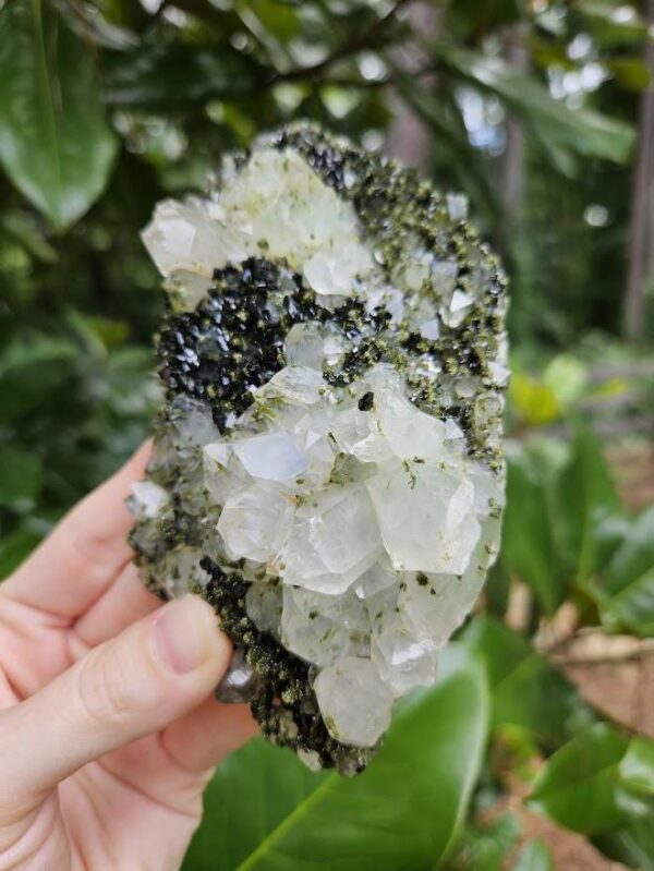 Quality Forest Quartz Crystal - Image 7