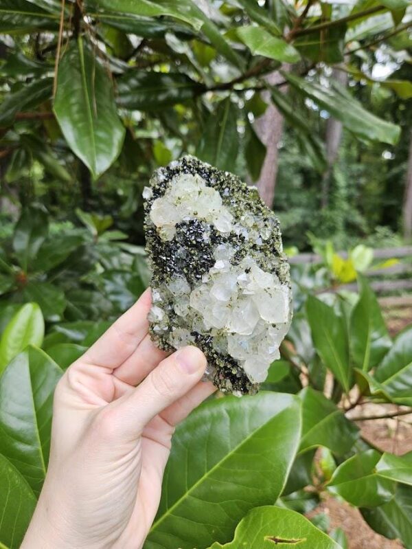 Quality Forest Quartz Crystal - Image 9