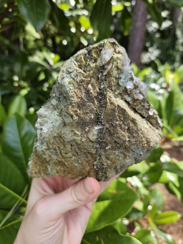 Forest Quartz Crystal Cluster: Raw Epidote & Clear Quartz from Turkey - Image 6