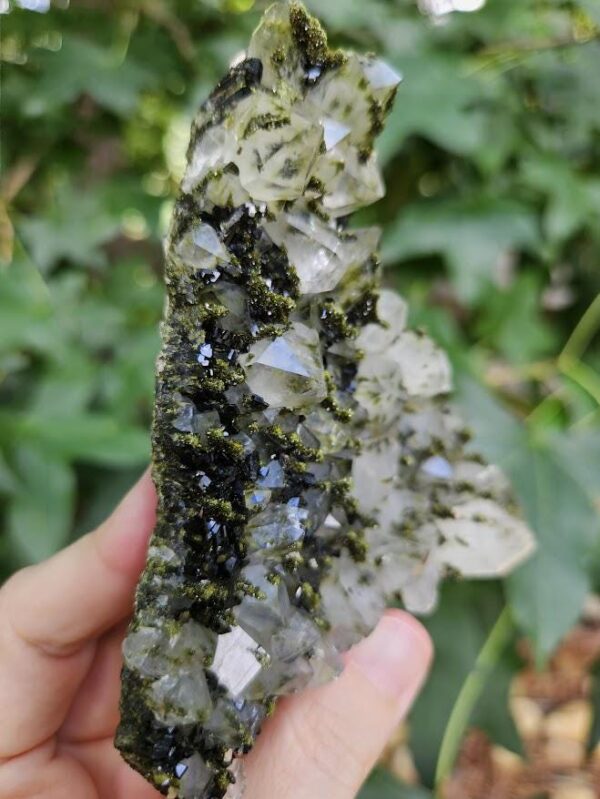 Raw Epidote and Clear Quartz Cluster: Turkish Forest Quartz Crystal, Quality Crystals - Image 4
