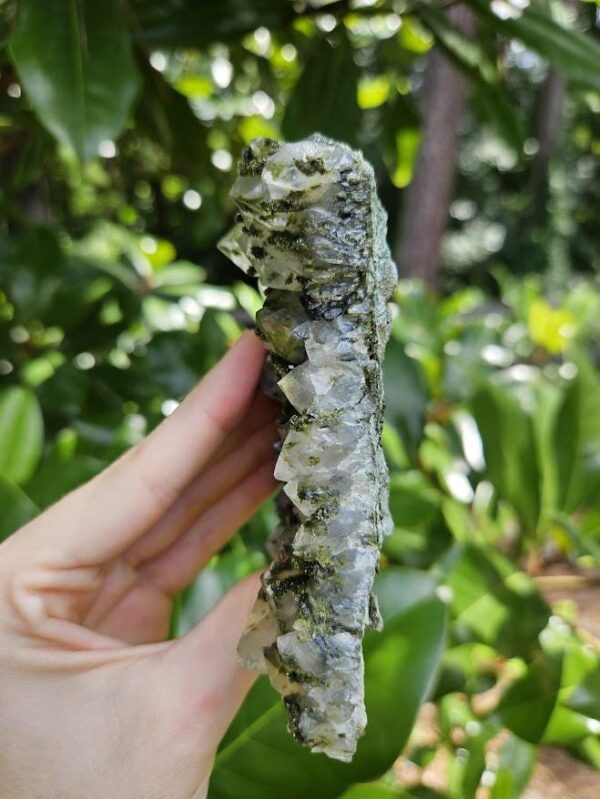 Raw Epidote and Clear Quartz Cluster: Turkish Forest Quartz Crystal, Quality Crystals - Image 6