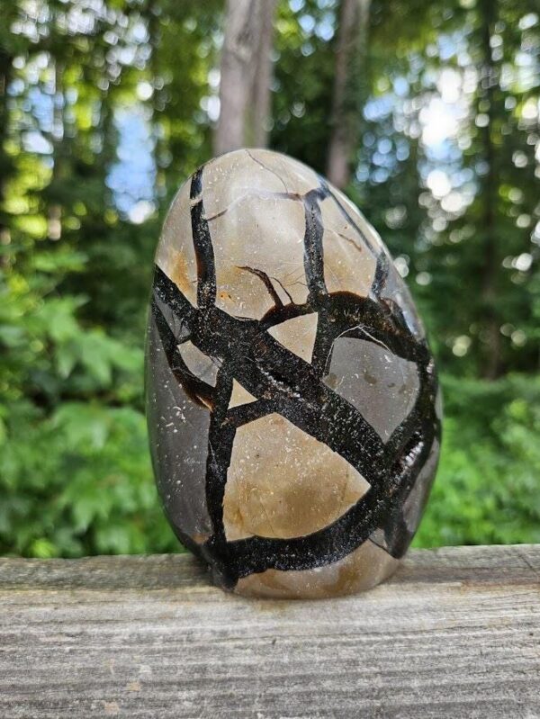 Druzy Septarian Crystal Egg: Raw & Polished Dragon Stone - Image 2