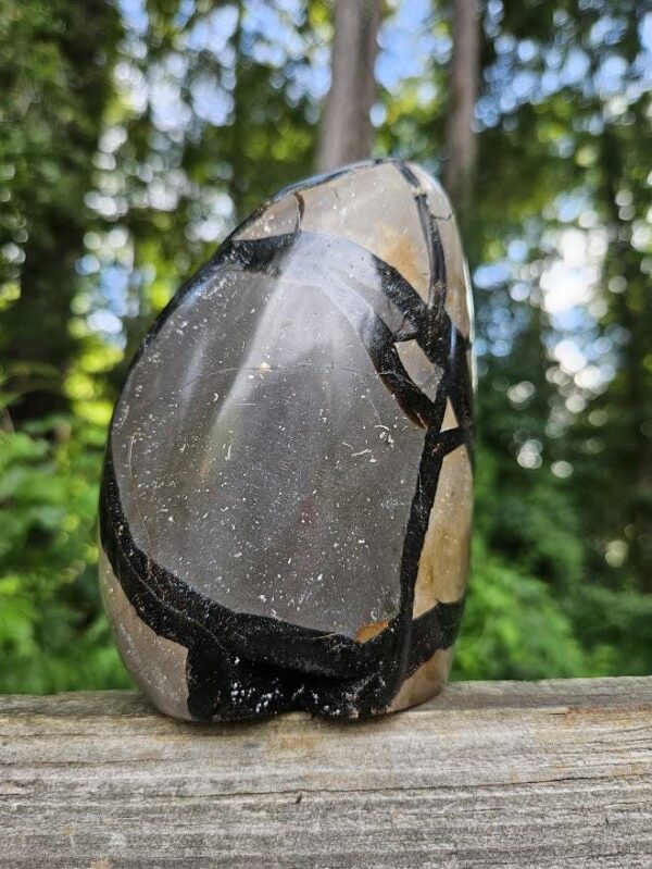 Druzy Septarian Crystal Egg: Raw & Polished Dragon Stone - Image 7
