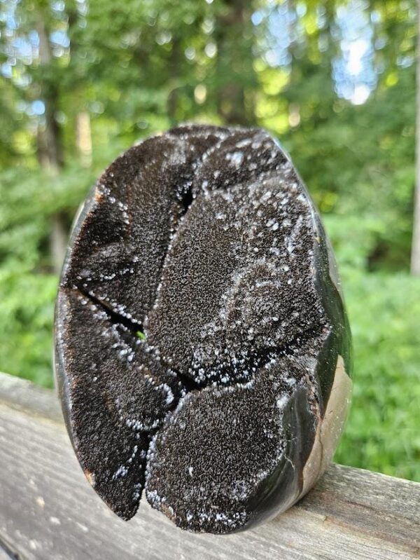 Druzy Septarian Crystal Egg: Raw & Polished Dragon Stone - Image 3