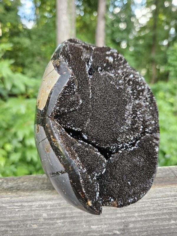 Druzy Septarian Crystal Egg: Raw & Polished Dragon Stone - Image 9