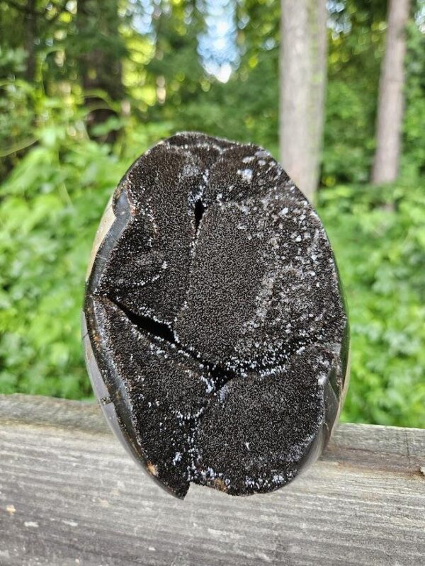 Druzy Septarian Crystal Egg: Raw & Polished Dragon Stone - Image 4