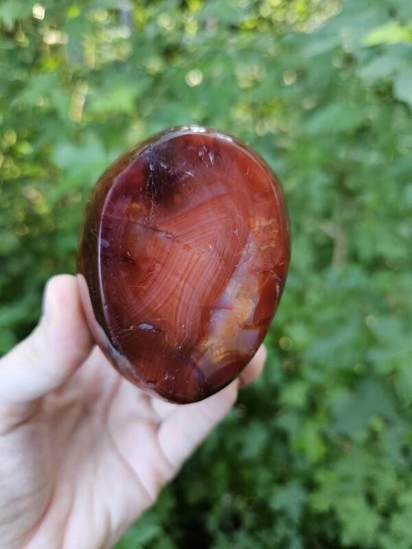 Polished Carnelian Freeform: Sacral Chakra Crystal, Cut Base - Image 3