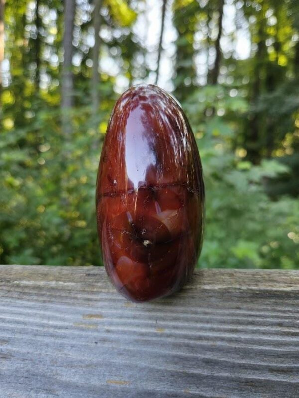 Polished Carnelian Freeform: Sacral Chakra Crystal, Cut Base - Image 6