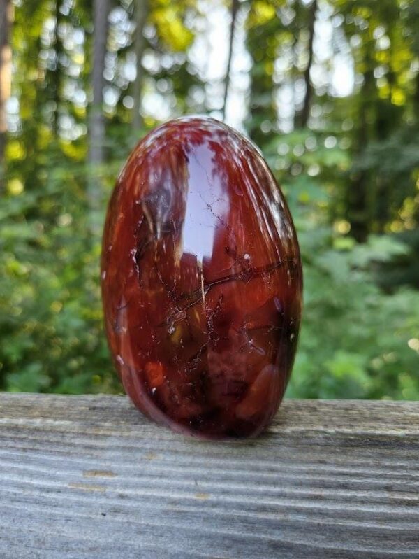Polished Carnelian Freeform: Sacral Chakra Crystal, Cut Base - Image 7
