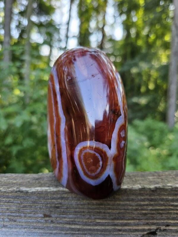 Unique Carnelian Freeform - Image 3