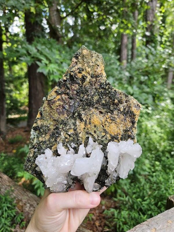 Wow! Quality Forest Quartz Crystal - Image 10