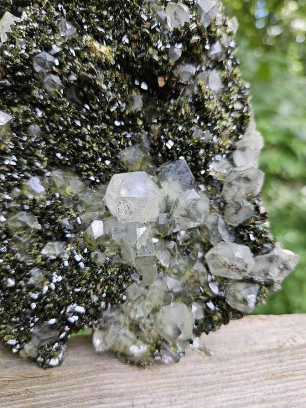 Wow! Quality Forest Quartz Crystal - Image 5