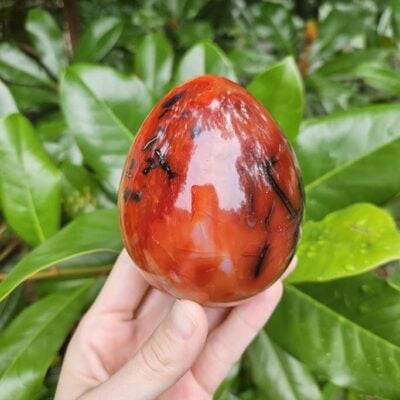 Polished Carnelian Egg: Sacral Chakra Crystal, Madagascar